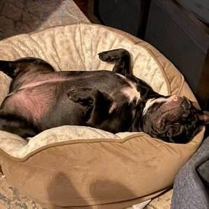 Meet your Posher, Tracy